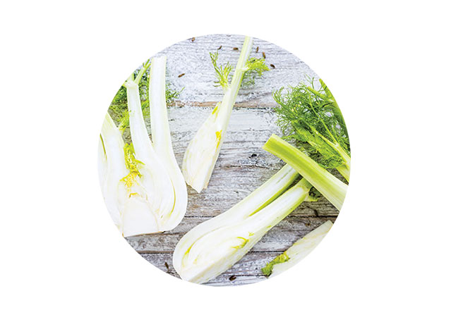 Fenchel bei Windeldermatitis & Ernährung 